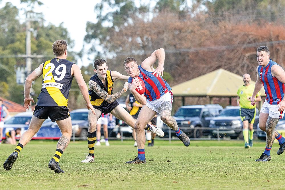 No coach, no worries for Tigers post image