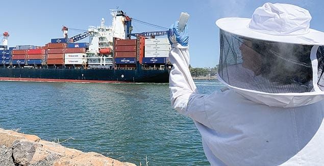 A harbourside home fit for a queen bee post image