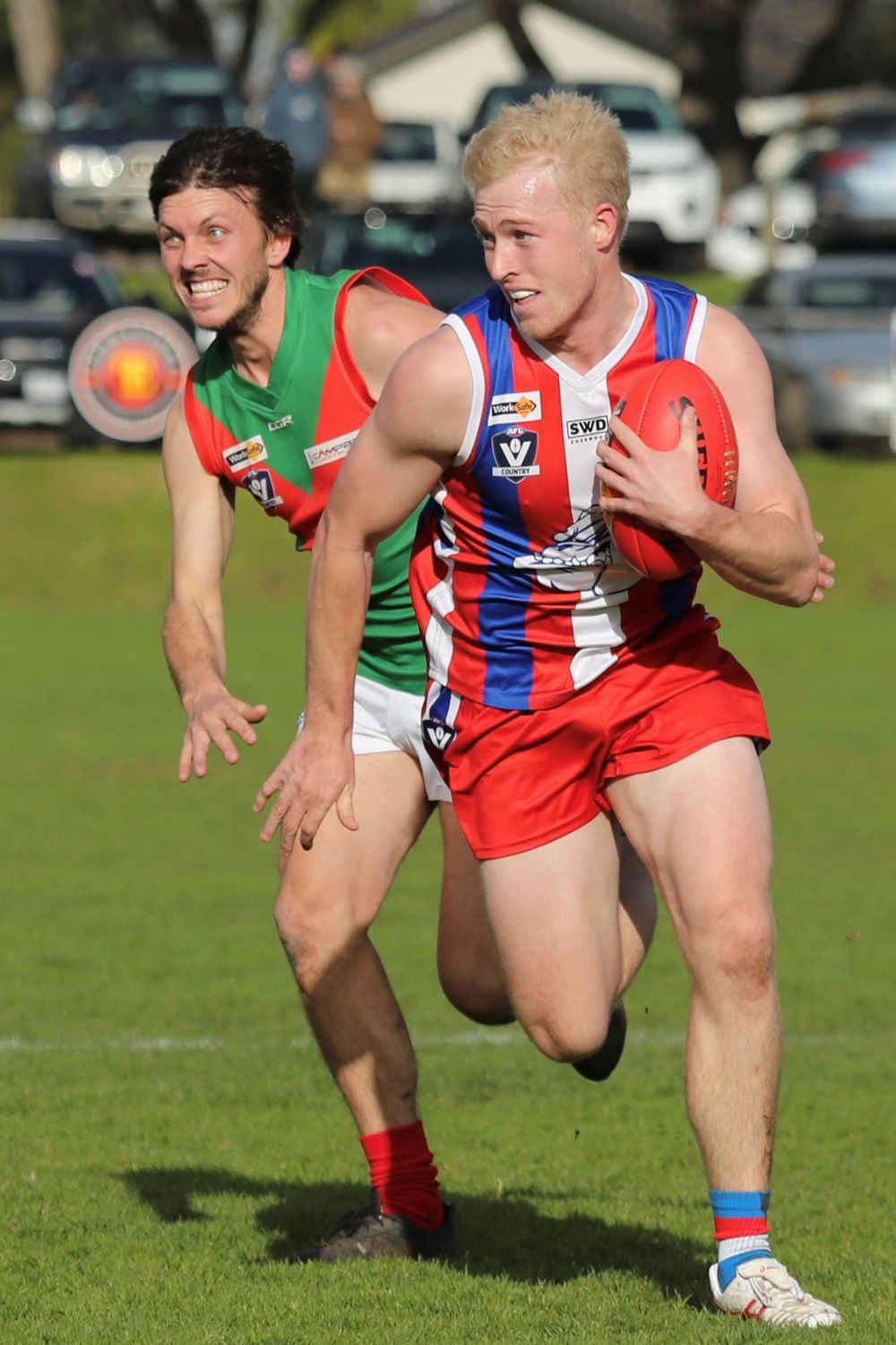 Bulldogs secure hard-fought win against Seagulls post image