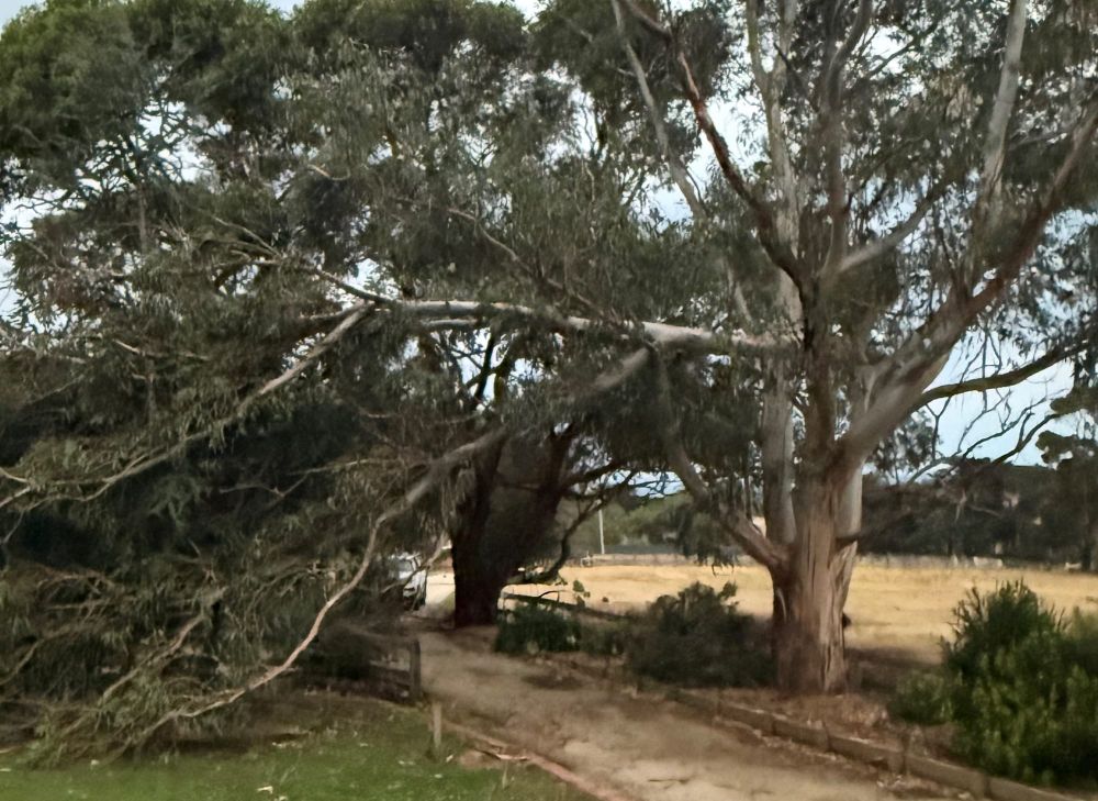 Phillip Island SES answered 45 calls after ‘mini cyclone’ post image