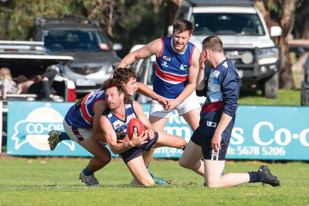 Panthers down ‘Dogs post image