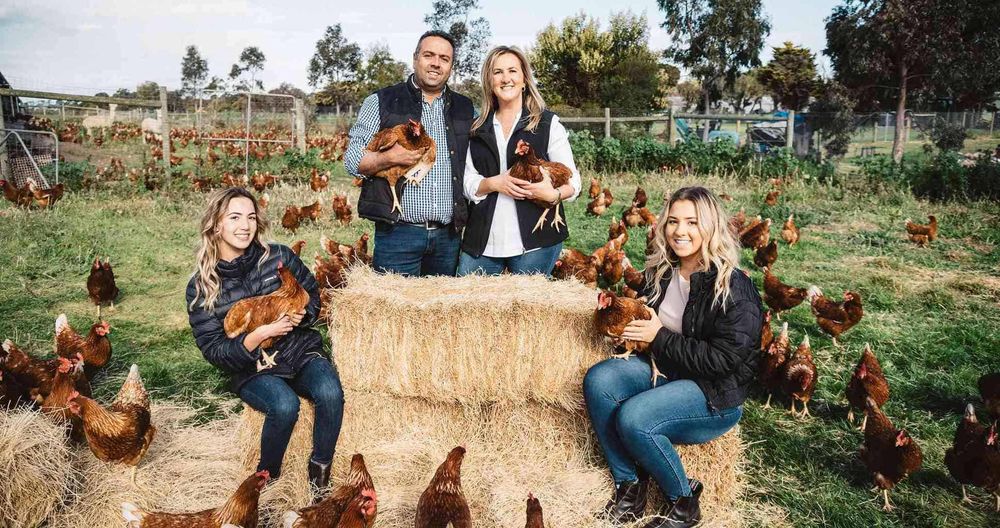 Supporting local at Woolworths post image