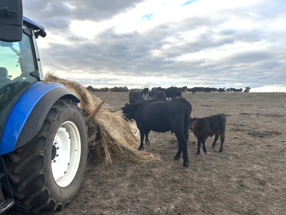 ‘Managing a dry season’ at Koonwarra Hall today post image