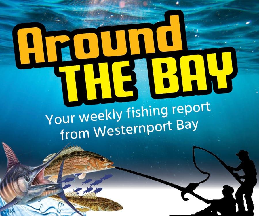 Around The Bay – Wednesday, April 27, 2022 post image