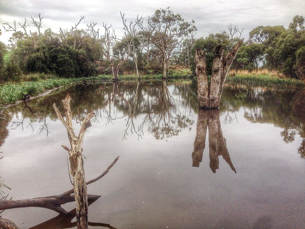 Inverloch wetland dispute heads to VCAT post image