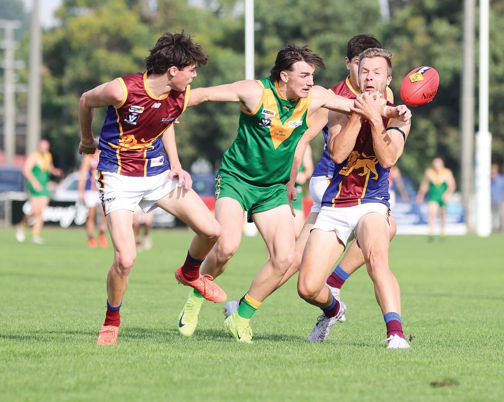 Lions roar against Parrots in second half post image