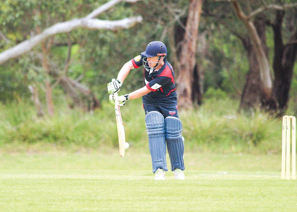 Stingrays dominate at home post image