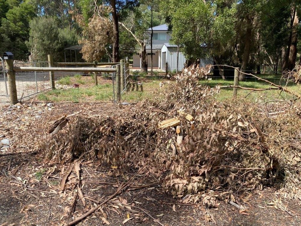 Storm damage at mushroom lady’s Leongatha property post image