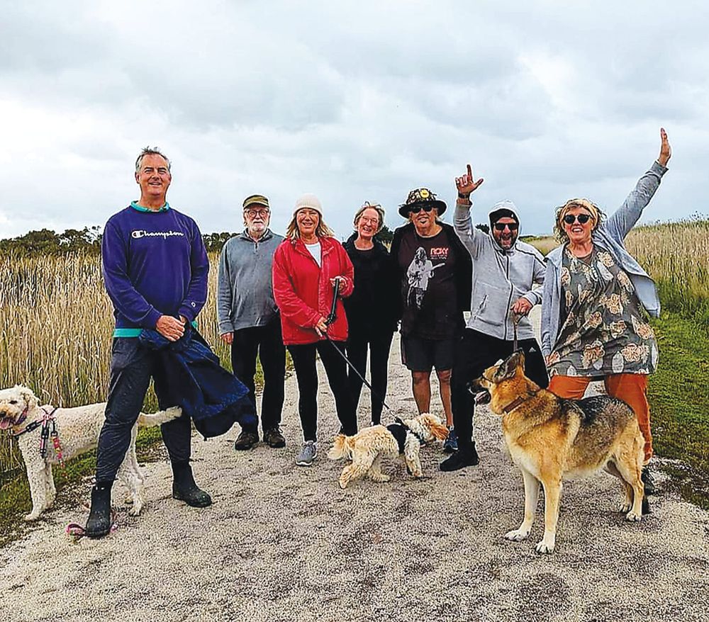 Celebrating one year of Wombat Walkers post image