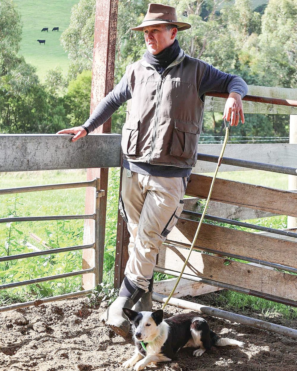 Working Dog Trials not to be missed this November post image