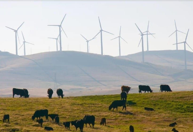 Transmission guidelines now give more weight to farming, they say post image