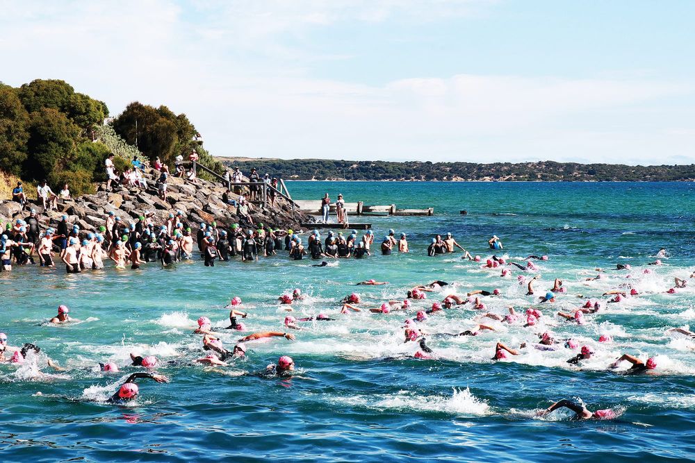 Record entrants for the 37th San Remo Channel Challenge post image