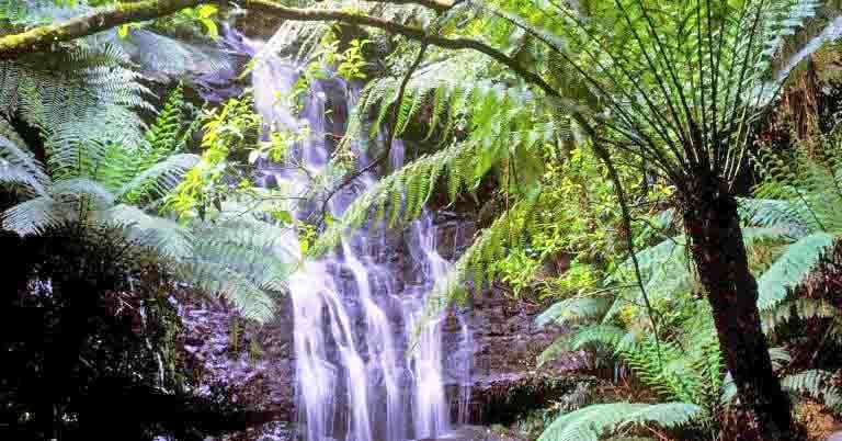 Whales, waterfalls and wanderings post image