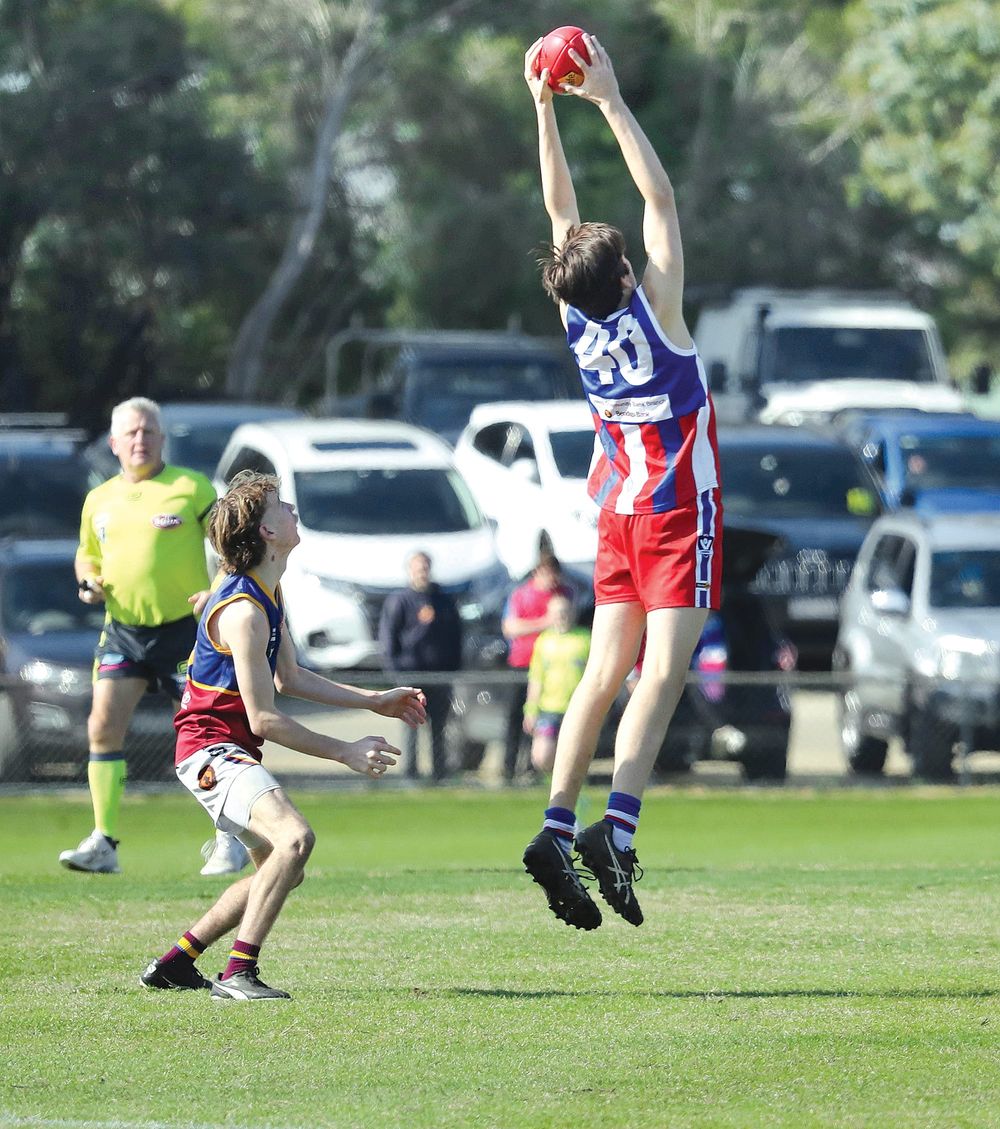 The Bass Coast clash post image