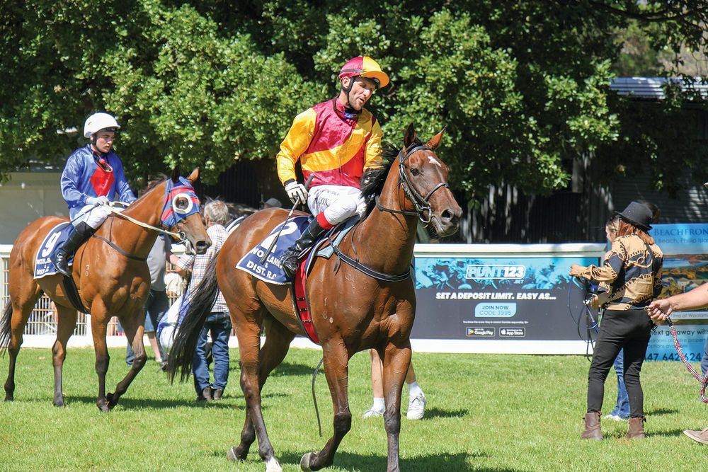Sacra wins Woolamai Race Club Horse of the Year post image