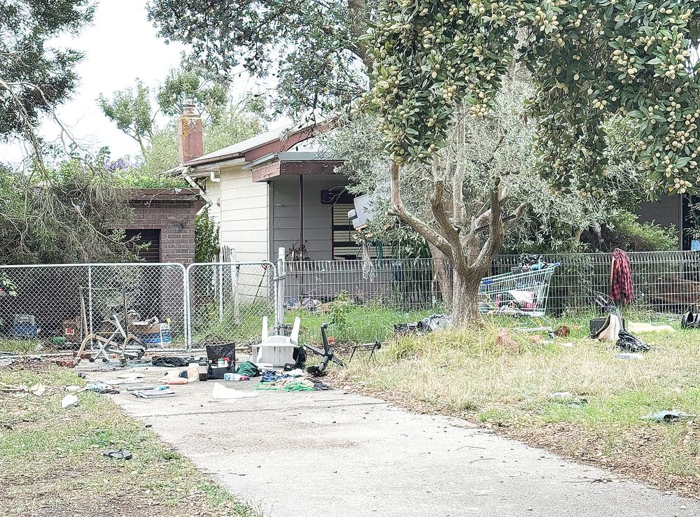 Hagelthorn hooligans as frustration grows over troublemaking squatters post image