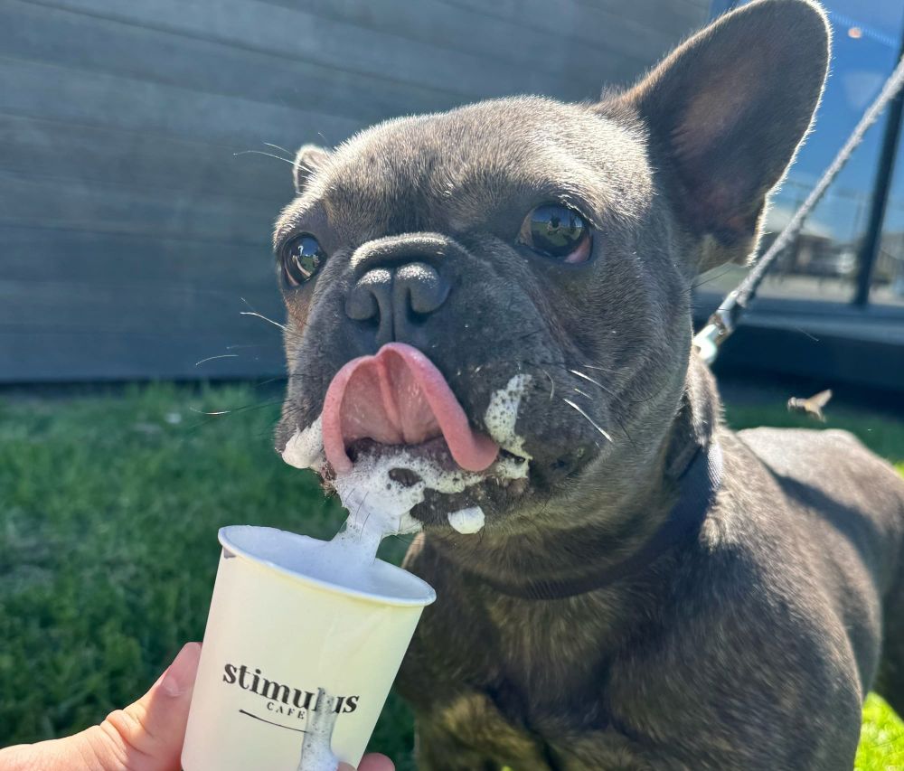 Free coffee and live music as SJD Homes opens new home super centre post image