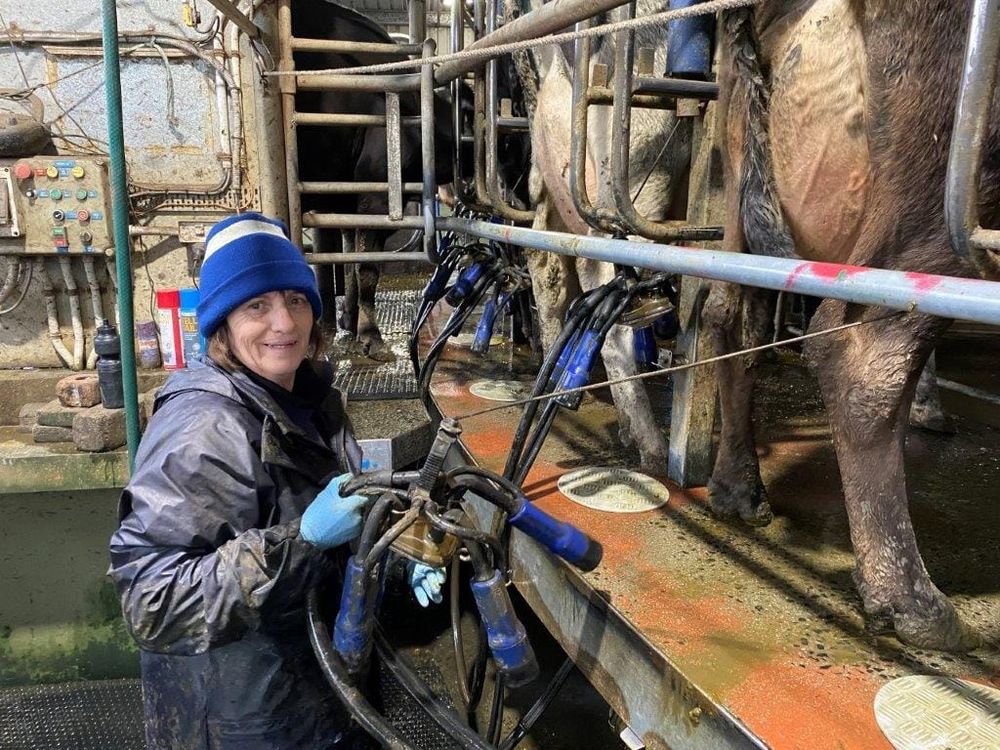 MILK: Fonterra Australia opens 2023/24 season at $8.65 per kgms post image