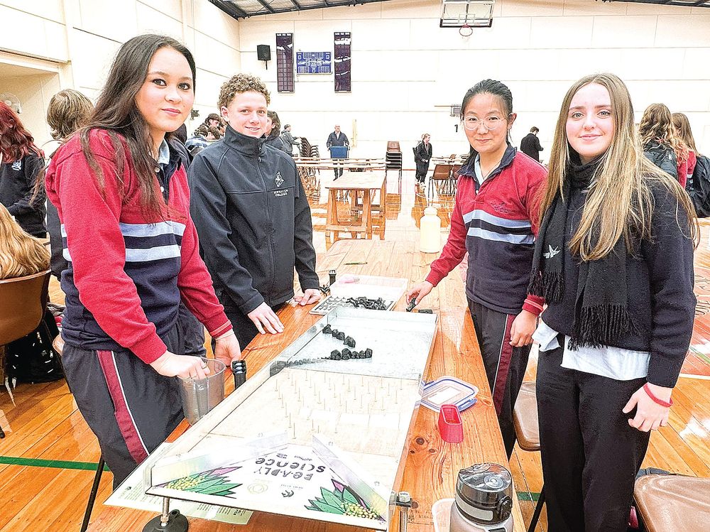Science and Engineering Challenge held for regions students post image