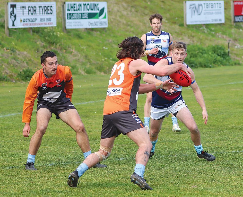 Panthers take the Shield post image