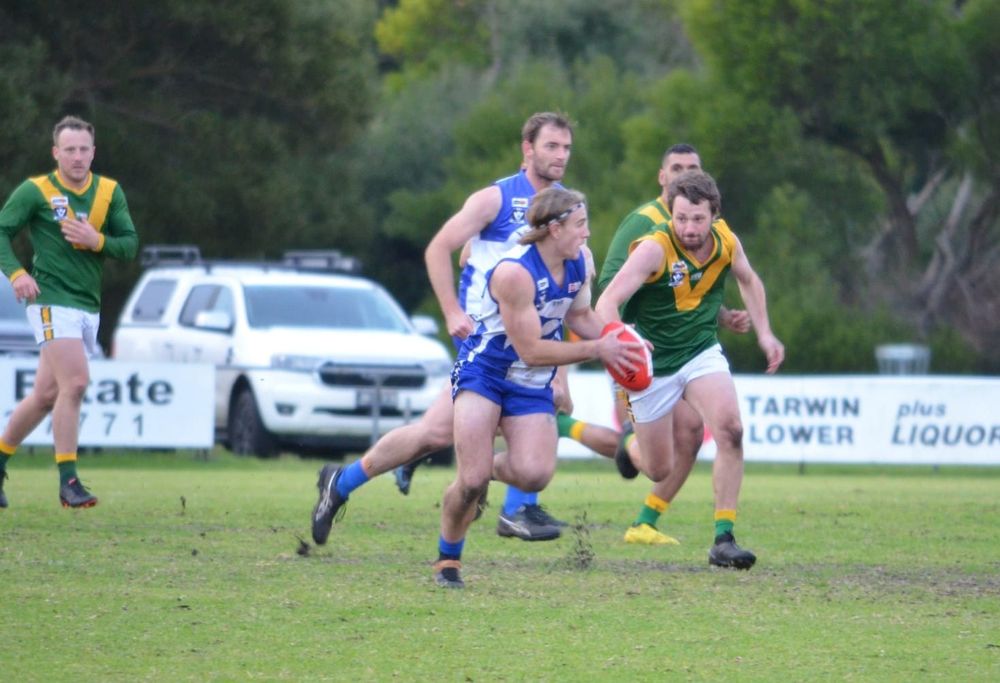 Stony Creek named venue for qualifying final this Saturday post image