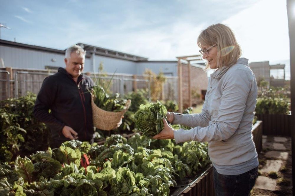 Innovative $2m community farm at Cape Paterson post image