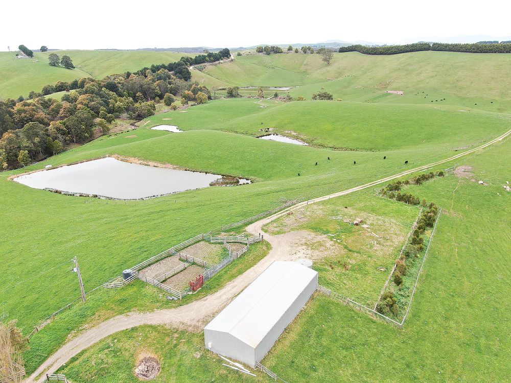 Kangaroo Flat – Agnes River Grazing / Lifestyle post image