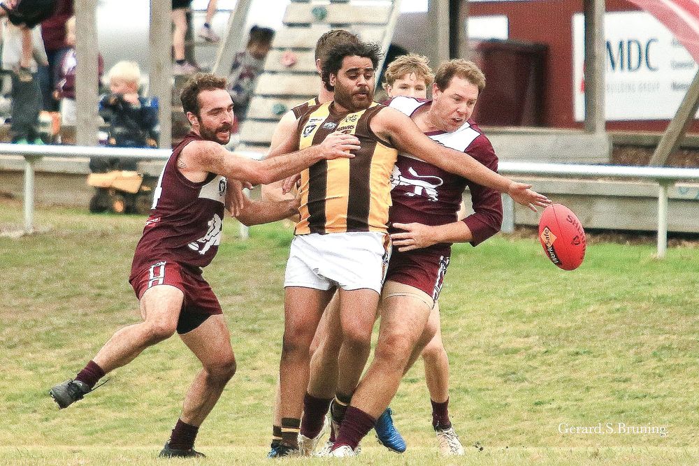 Lions end Hawks’ finals aspirations post image