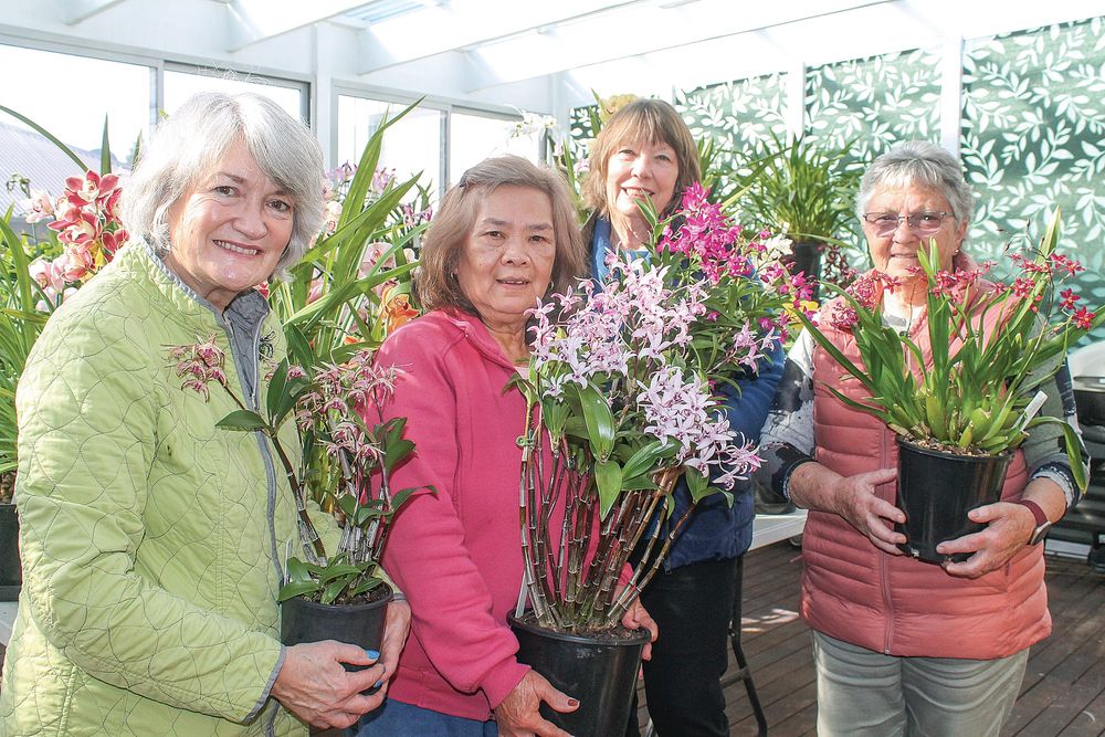A riot of colour and fragrance at 35th Annual South Gippsland Orchid Show post image