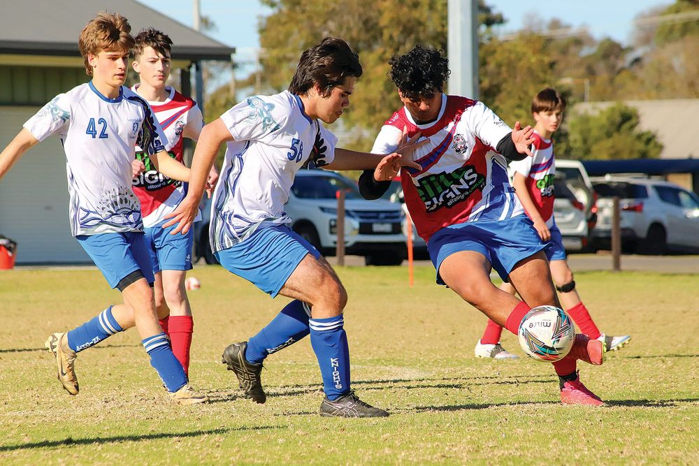 Knights enjoy success after return to action post image