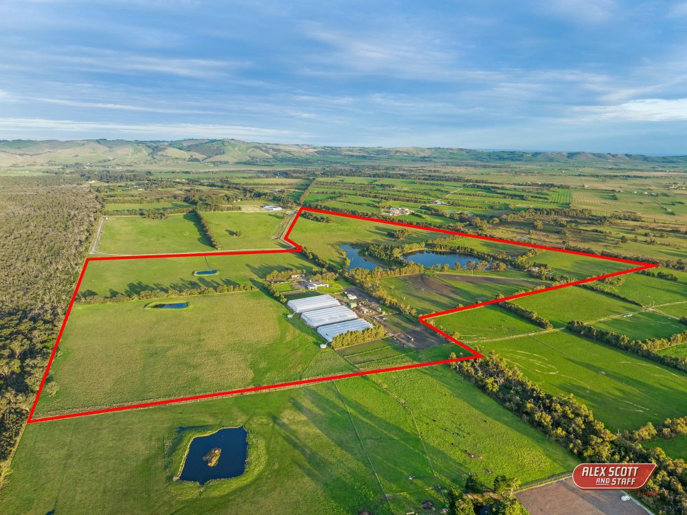 "Maccas Farm" up for grabs post image