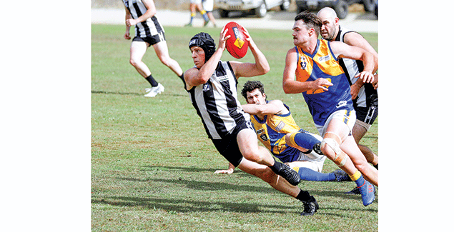 Magpies fight back against the Ellinbank Eagles post image