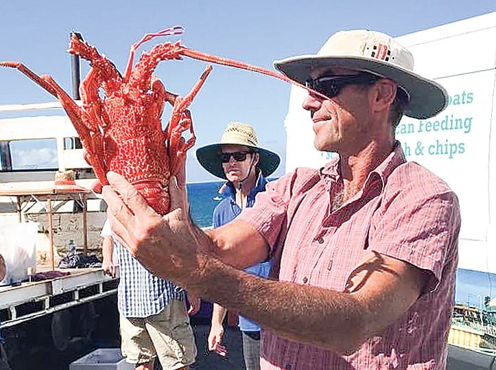 Kilcunda Lobster Festival returns for their 37th year post image