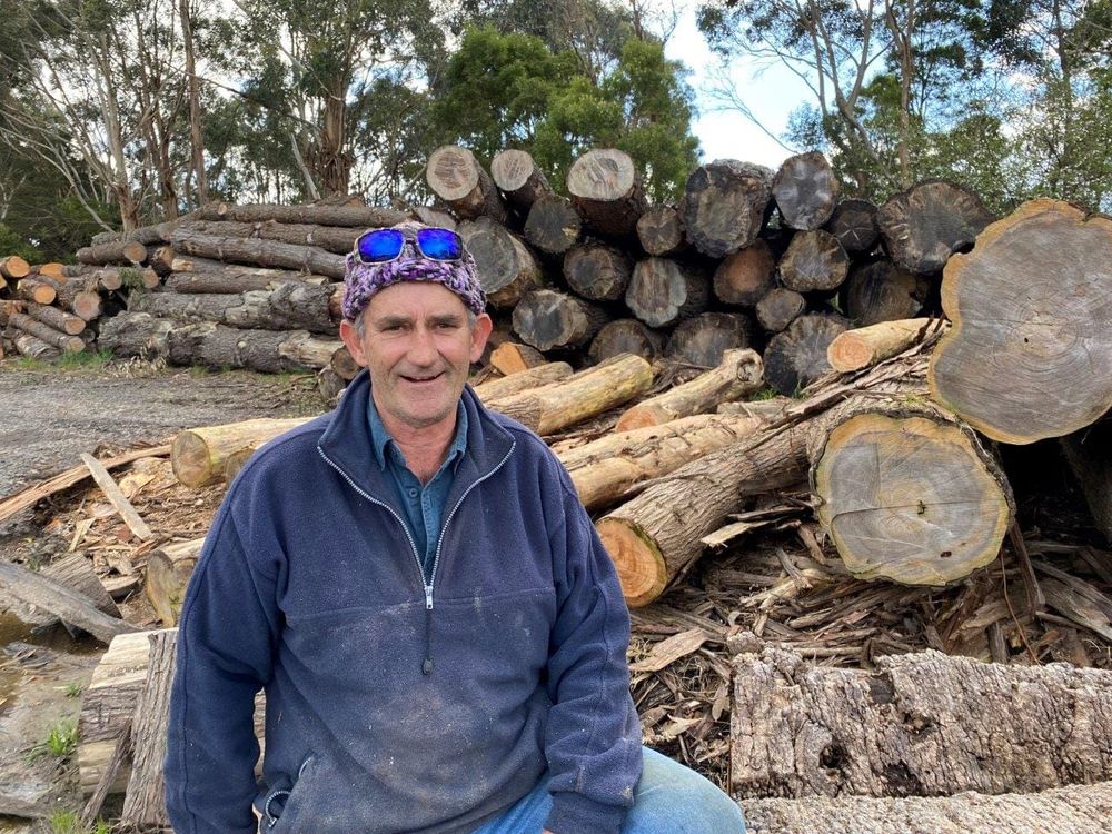 Storm timber falls into Joe Bell’s hands post image