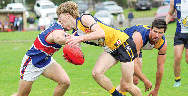 Debutants dominate post image
