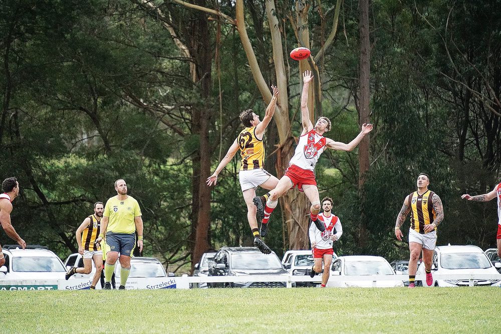 Inaccurate Fish Creek demolishes Morwell East post image