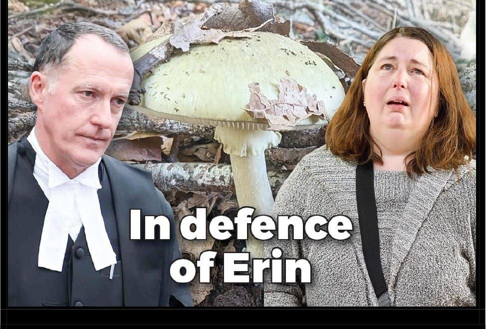 He said, she said… mushroom murder trial wraps up in Morwell post image