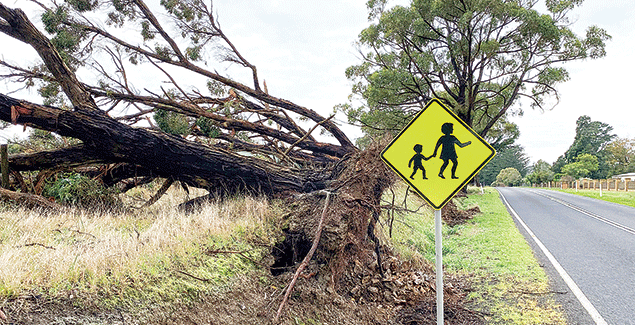 119 roads on South Gippsland storm list post image