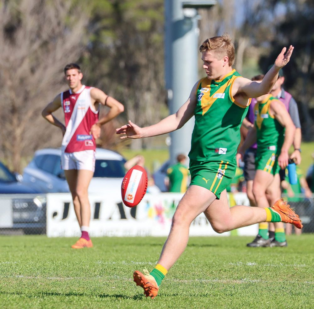 Parrots and Power in seven grand finals post image