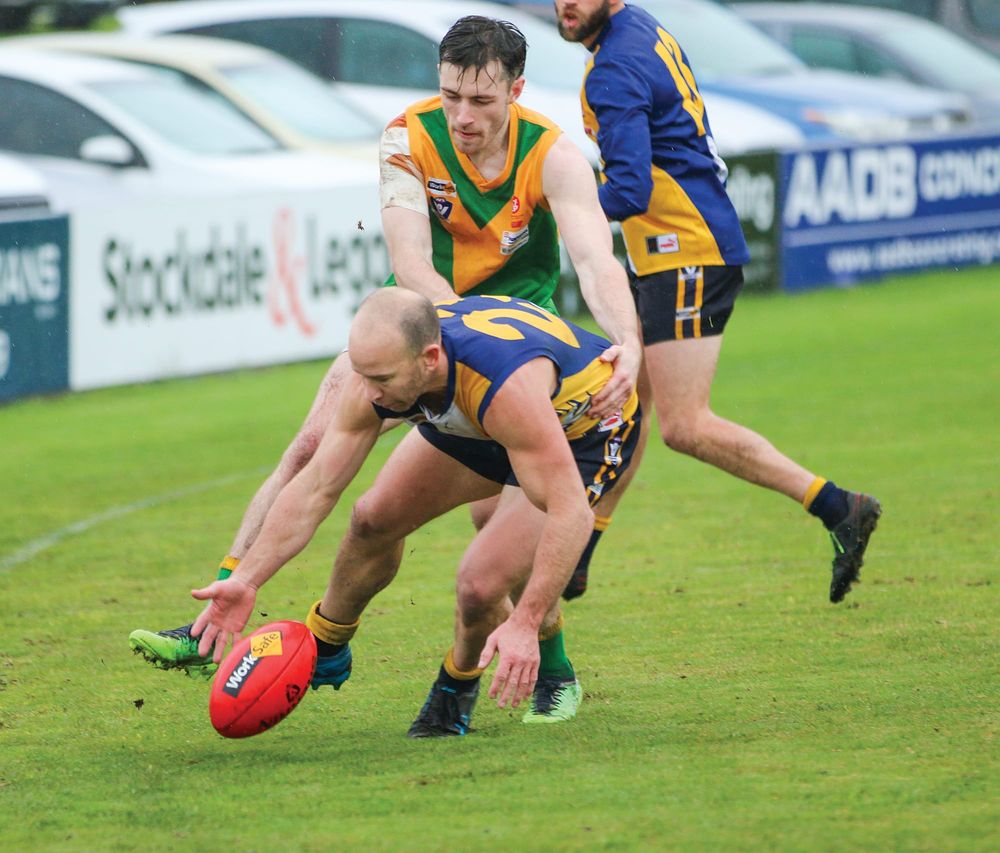 Sea Eagles do it easily at home post image