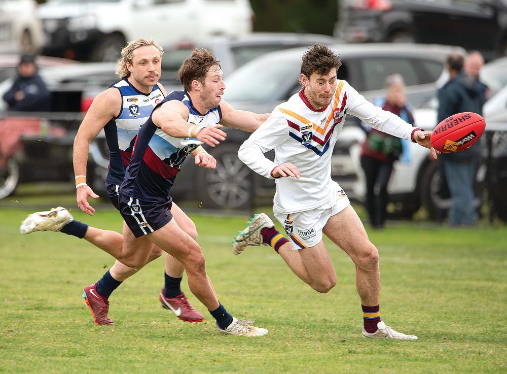 Panthers pounce on another win post image