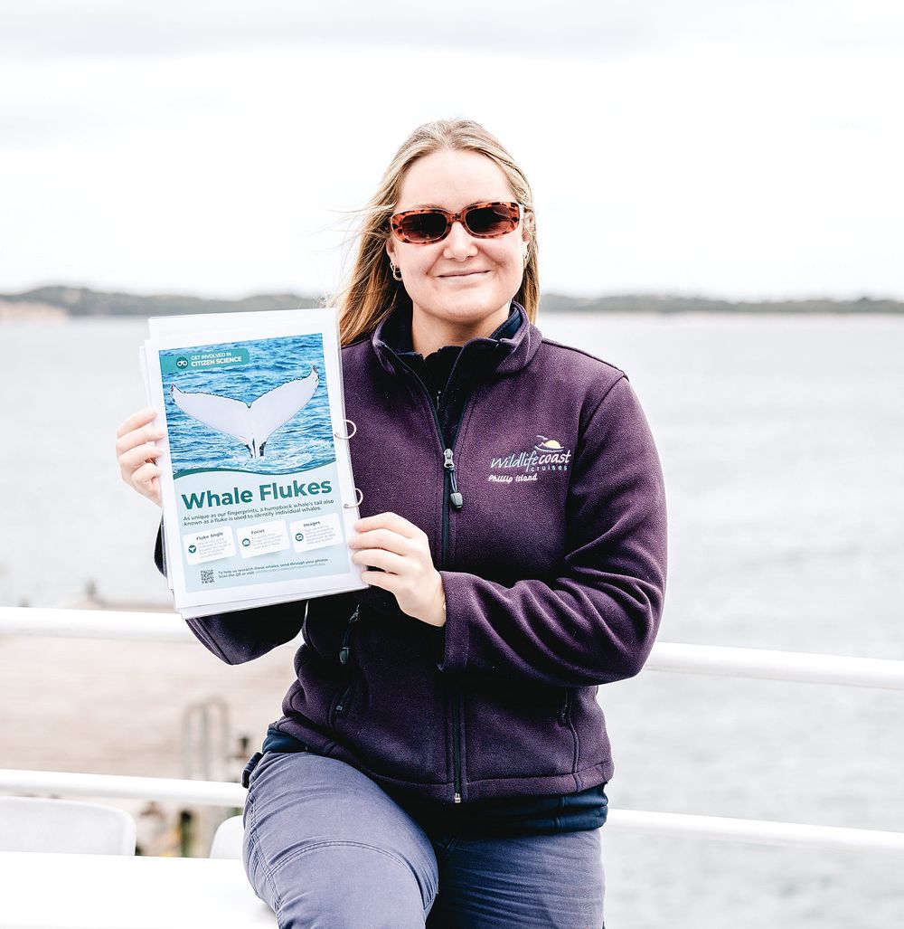 Tracking giants, a flipping good time post image