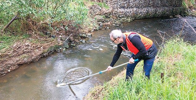 Connecting our creeks post image