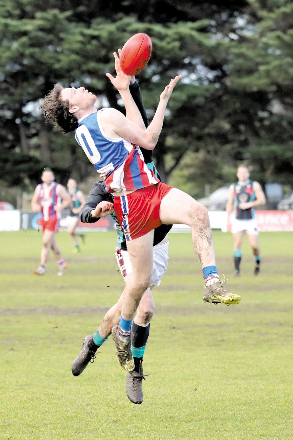 Cobras’ sting no match for Bulldogs’ bite post image