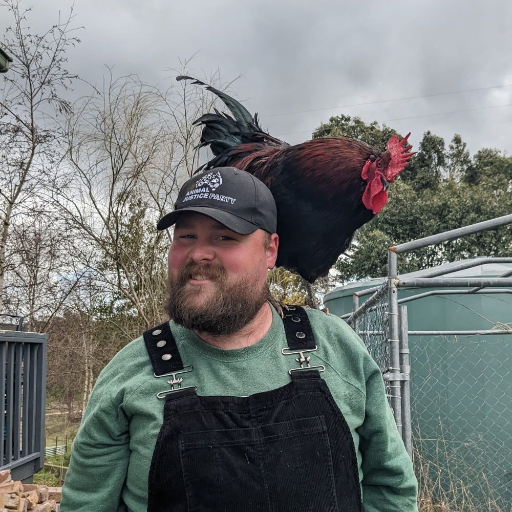 Local animal rescuer endorsed as candidate post image