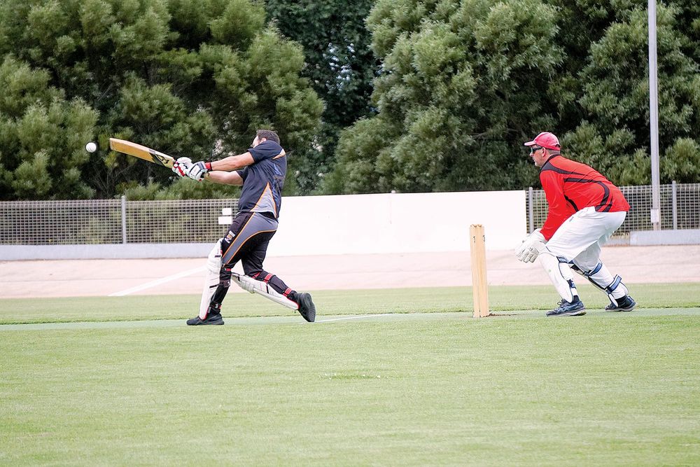 White thwarts Sharks’ batting order post image