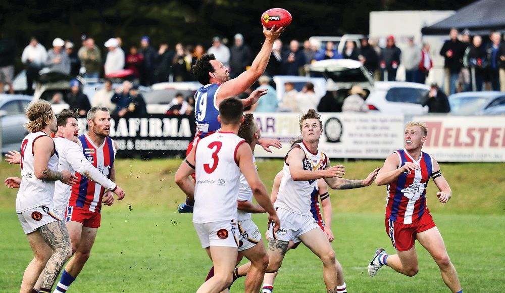 Bulldogs overcome plucky Dusties post image