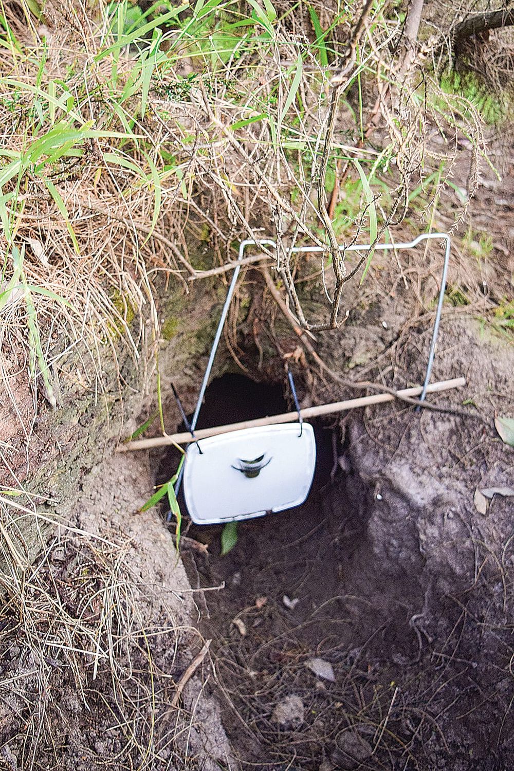Volunteers help local wombats fight mange post image