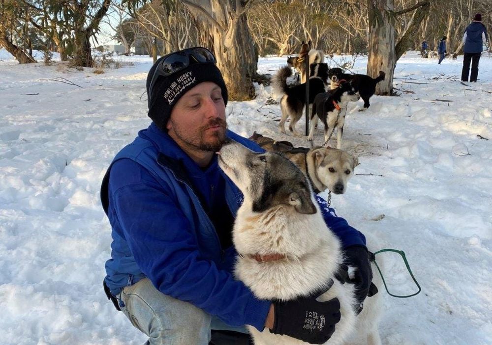 Walk, ski, ride or mush on the wild side at Mt Hotham post image