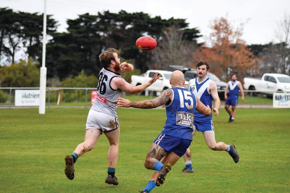 Blues have more than 100 reasons to celebrate post image